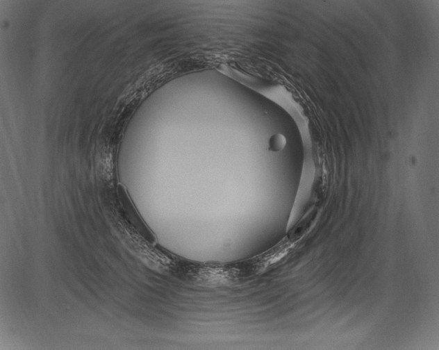 X0000081400613200702020322