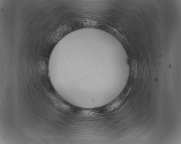 X0000081400614200702020322