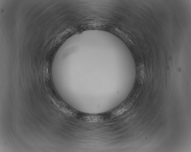 X0000081400615200702020322