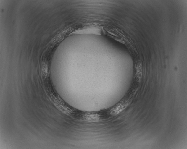 X0000081400617200702020322