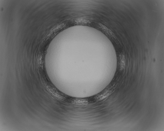 X0000081400619200702020322