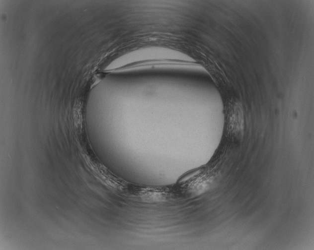 X0000081400620200702020322