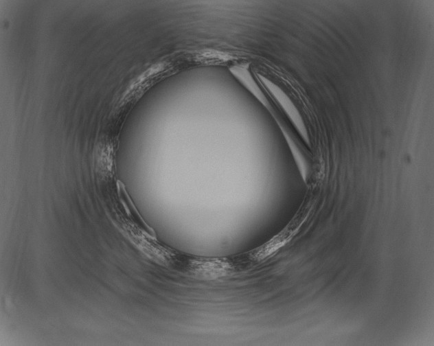 X0000081400621200702020322