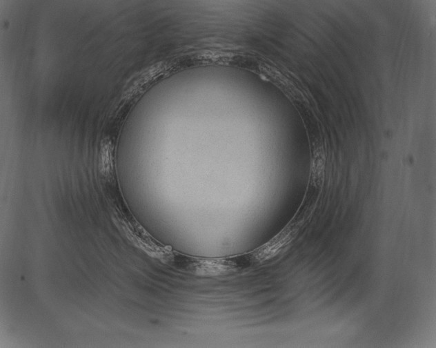 X0000081400623200702020322