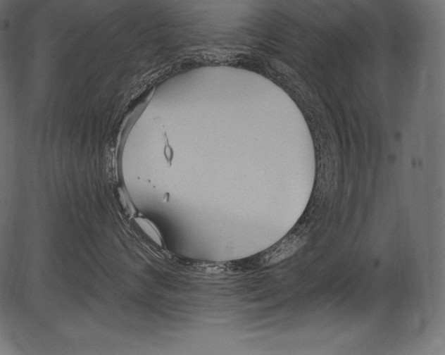 X0000081400624200702020322