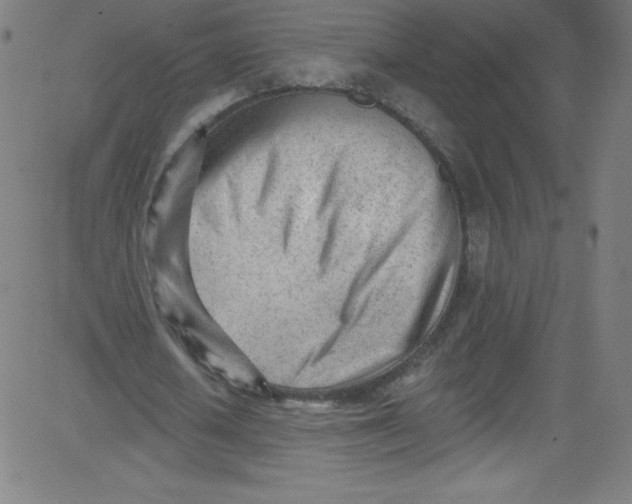 X0000081400626200702020321