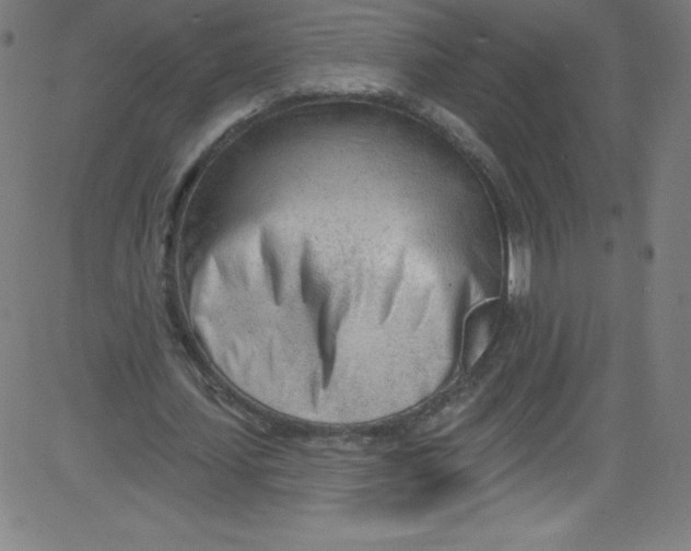 X0000081400627200702020321