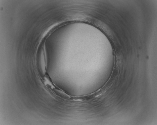 X0000081400628200702020321