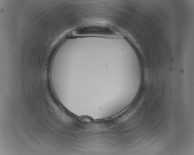 X0000081400629200702020321