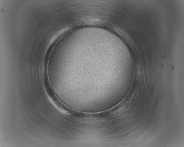 X0000081400630200702020321