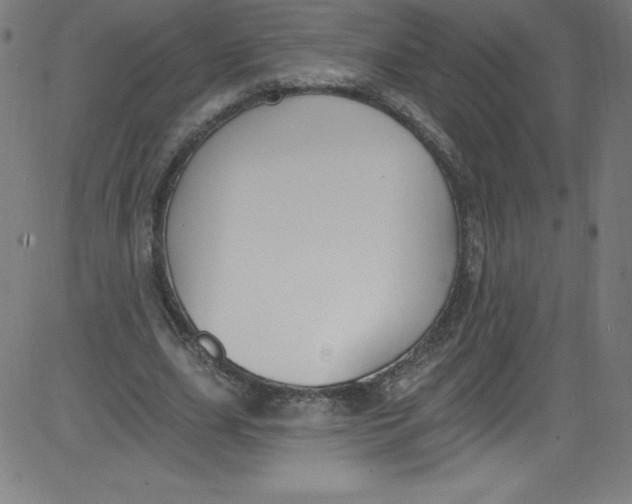 X0000081400631200702020321