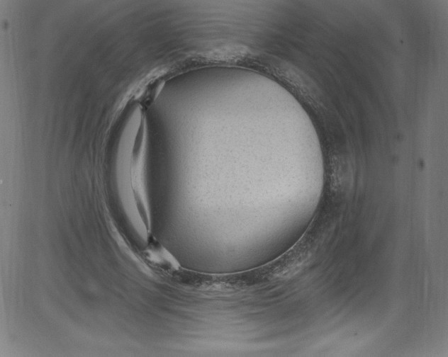 X0000081400634200702020321