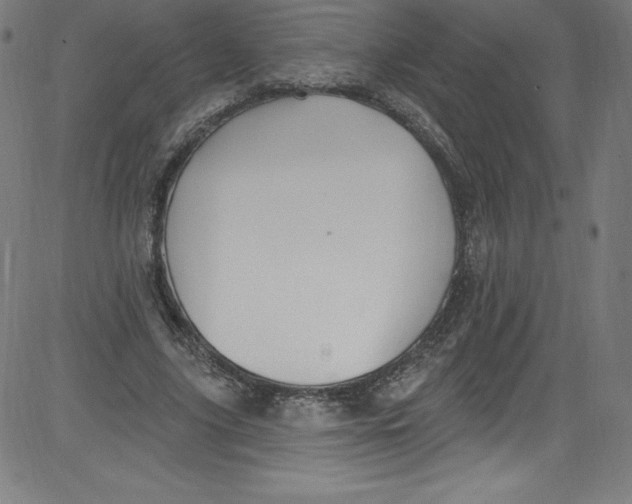 X0000081400635200702020321