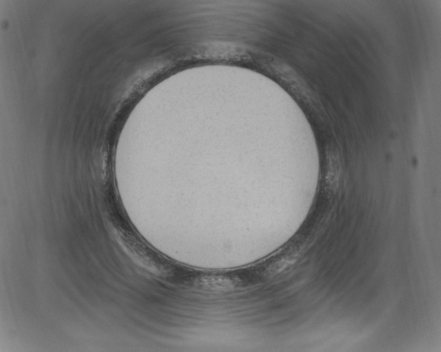 X0000081400636200702020321