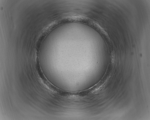 X0000081400637200702020321