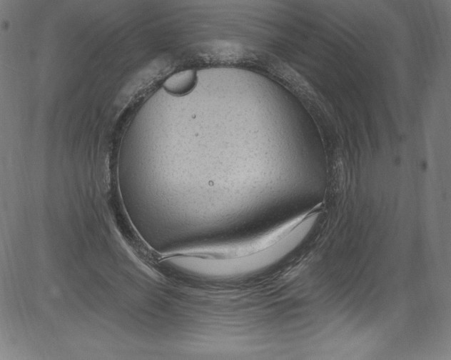 X0000081400638200702020321