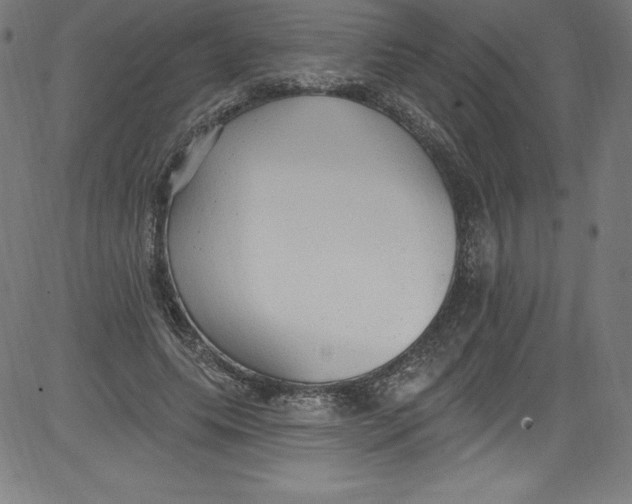 X0000081400639200702020321