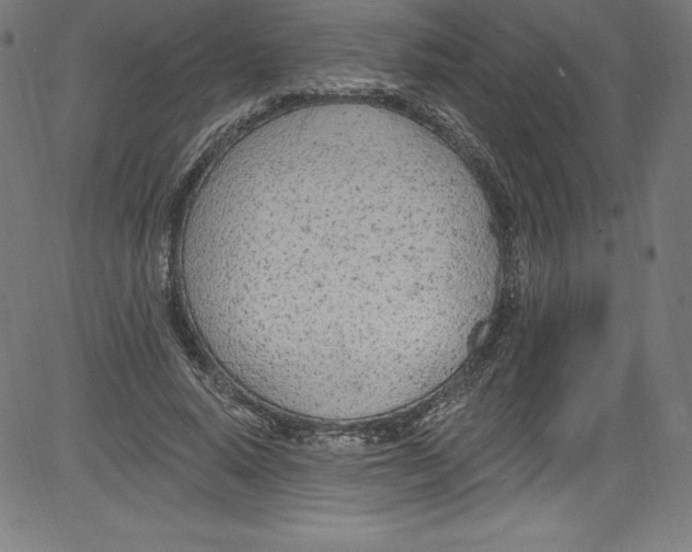 X0000081400640200702020321