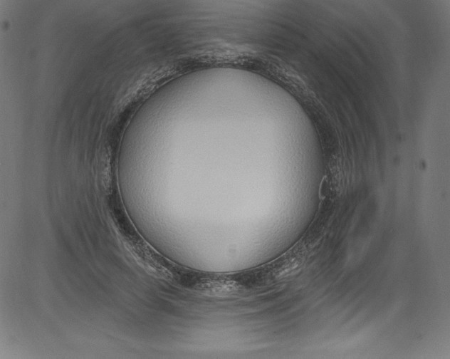 X0000081400642200702020321