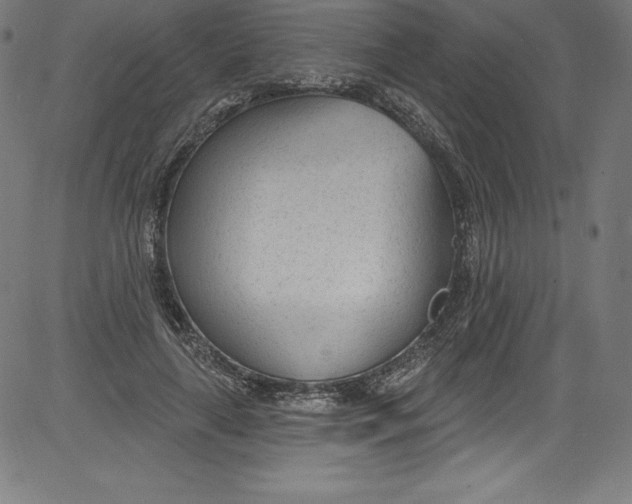 X0000081400643200702020321