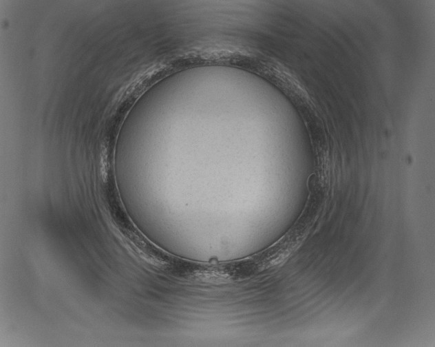 X0000081400644200702020321