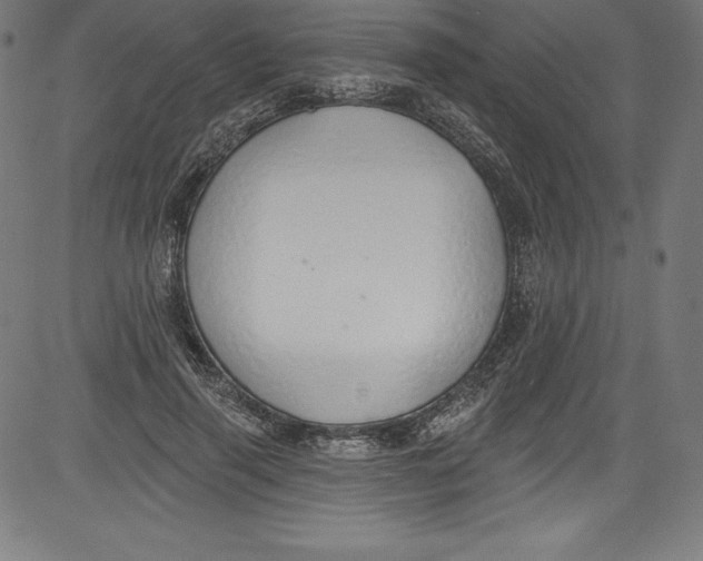 X0000081400645200702020321