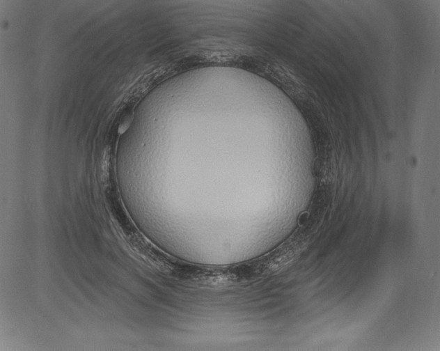 X0000081400646200702020321