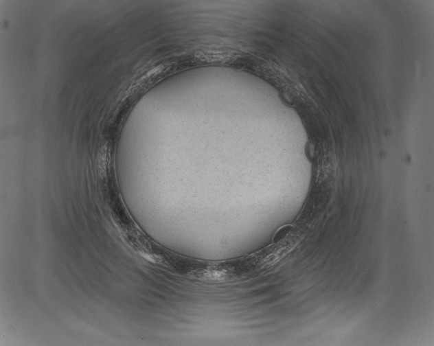 X0000081400647200702020321