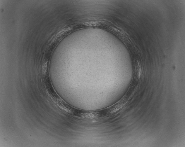 X0000081400652200702020321