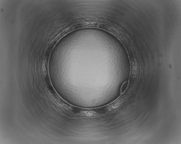 X0000081400654200702020322