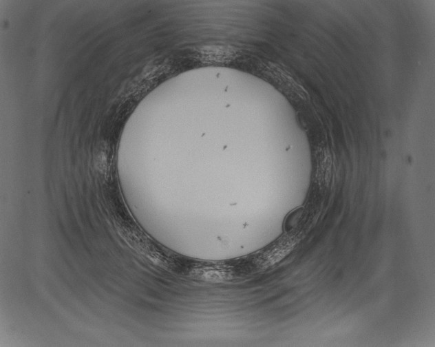 X0000081400655200702020322