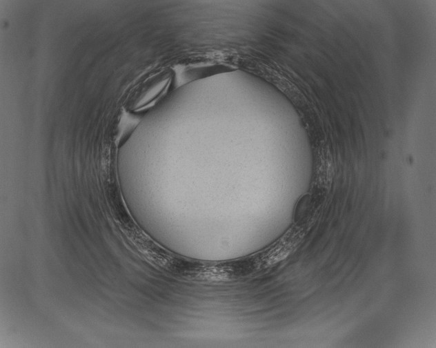 X0000081400656200702020322