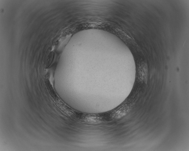 X0000081400657200702020322