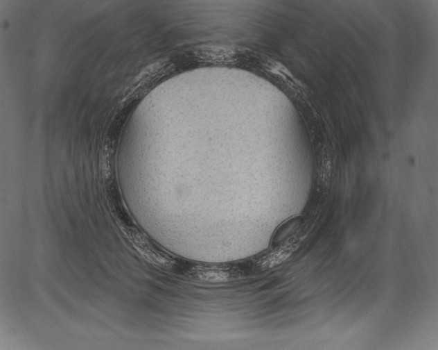 X0000081400658200702020322