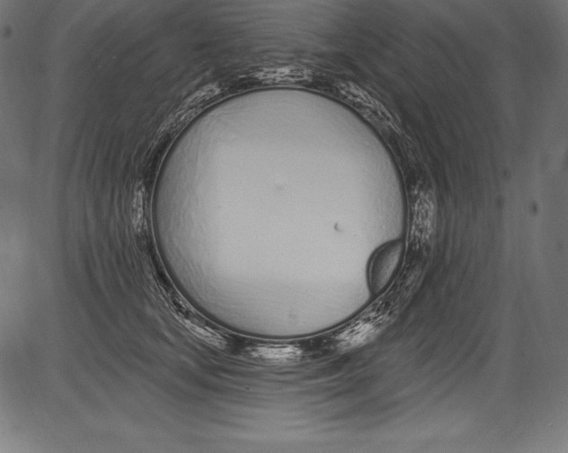 X0000081400659200702020322