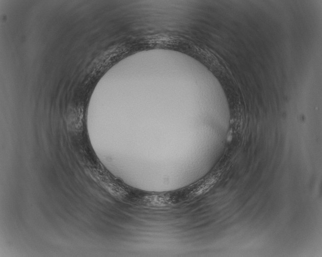 X0000081400660200702020322