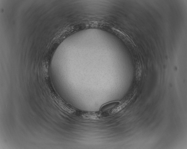 X0000081400661200702020322