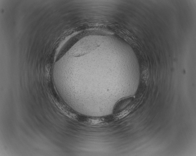 X0000081400662200702020322