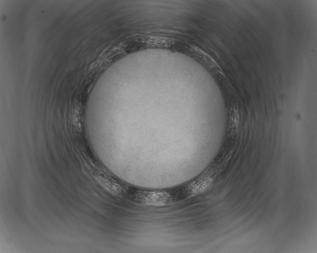 X0000081400663200702020322