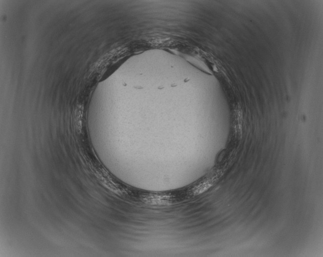 X0000081400664200702020322