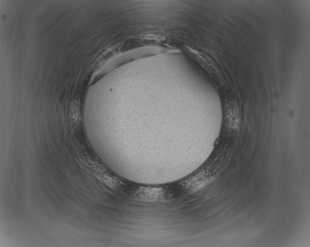 X0000081400665200702020322