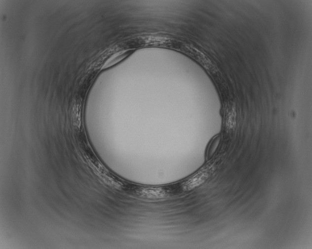 X0000081400666200702020322