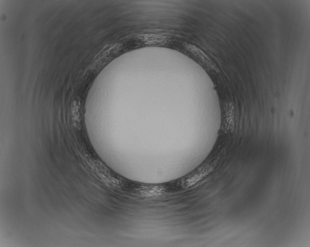 X0000081400667200702020322