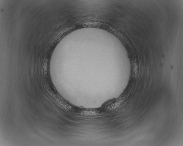 X0000081400668200702020322