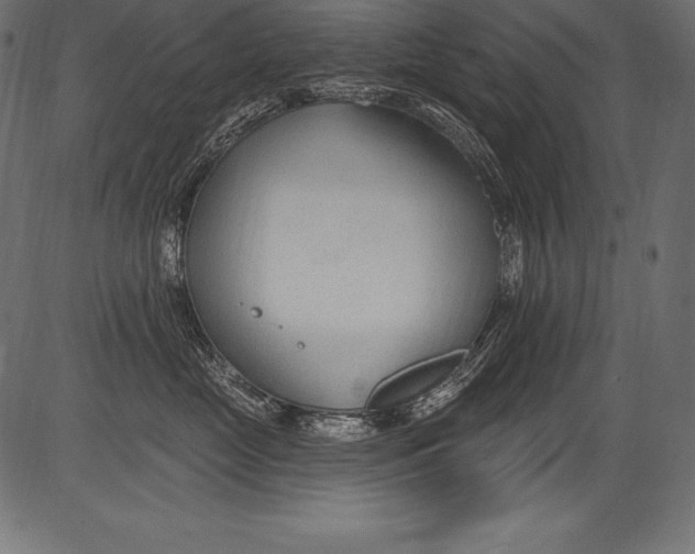 X0000081400669200702020322