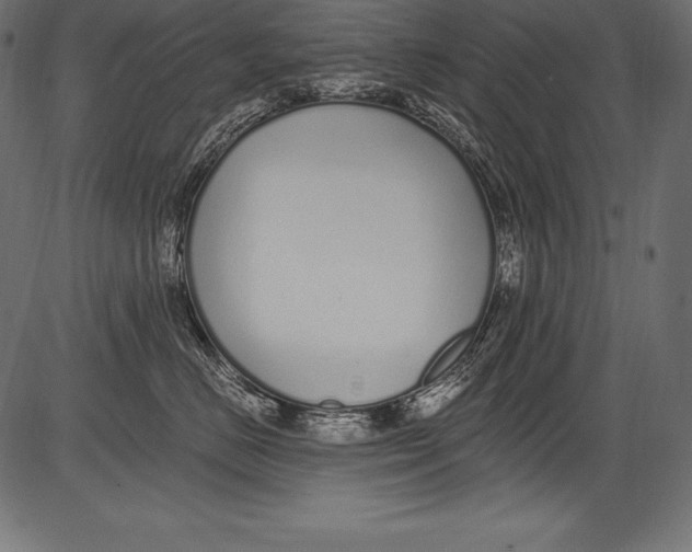 X0000081400670200702020322