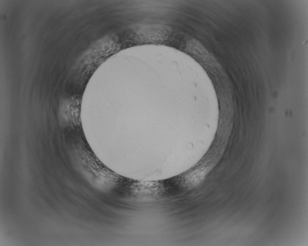 X0000081400672200702020322