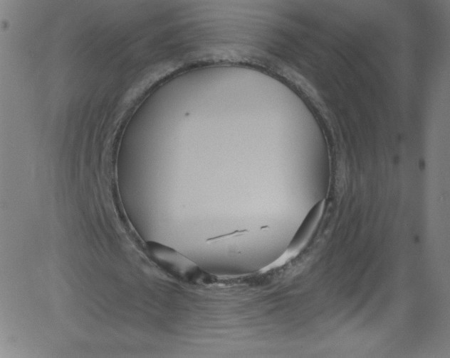 X0000081400673200702020321