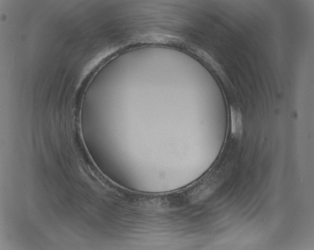 X0000081400675200702020321