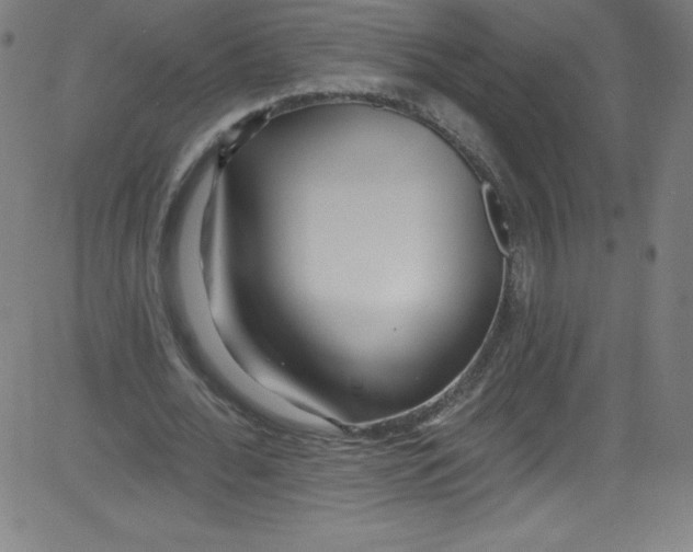 X0000081400676200702020321